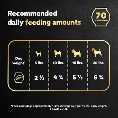 Cesar Warm Bowls Wet Dog Food Chicken & Beef Entrée with Vegetables & a Hint of Cranberry in Broth, Wet Food for Dogs, 2.7 oz Bowls, 10 Count
