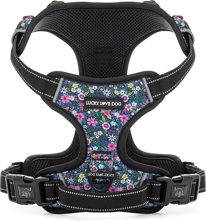 Lucky Love Dog No Pull Dog Harness, Adjustable and Easy to Walk, Cute Patterned Harness for Large Male & Female Dogs - Primrose, Large