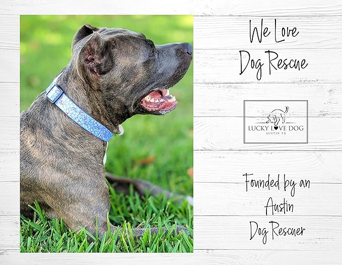 Lucky Love Dog - Adjustable Dog Collar with Easy Click Buckle for Medium Dogs, Durable, & Comfortable for Male & Female Dogs, Pet Collar for Puppies & Adult Ones - Winterblue, Medium