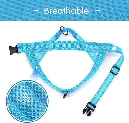 Didog No Pull Dog Harness with Soft Mesh Padded,Reflective & Quick Fit Light Weight Dog Strap Vest Harness,Easy for Walking Training (L:Chest 26-32", Mesh-Blue)