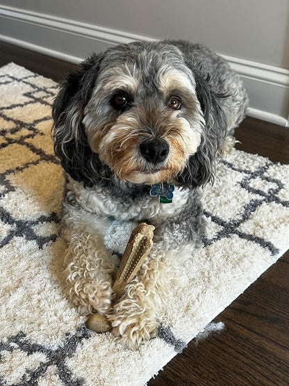 SPOT Bam-Bones Plus T-Bone, Bamboo Fiber & Nylon Dog Chew, Durable for Aggressive Chewers, Non-Splintering, for Adult Dogs & Teething Puppies Under 90lbs, 7in, Chicken Flavor