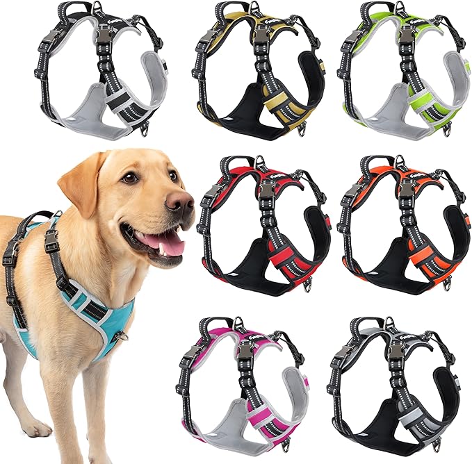DogTraxs - Step-in Dog Harness - for Large Dogs - Soft Padding & Reflective Trim - Adjustable No Pull Through Design - Control Handle - Top & Front Clip Durable - Sky Blue