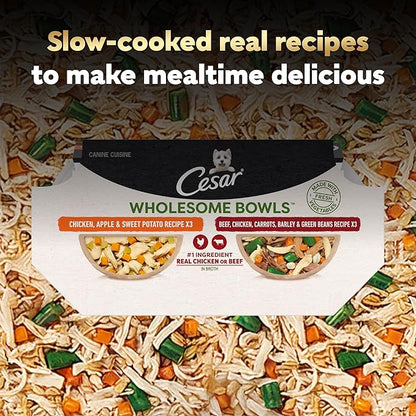 Cesar Wholesome Bowls Adult Wet Dog Food, Beef, Chicken, Carrots, Barley & Green Beans Recipe and Chicken, Apple & Sweet Potato Recipe Variety Pack, Wet Food for Dogs, 3 oz., 6 Count