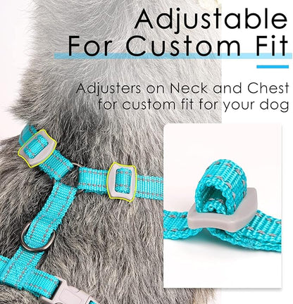 ThinkPet Reflective Breathable Soft Air Mesh No Pull Puppy Choke Free Over Head Vest Harness for Puppy Small Medium Dogs and Cats Light Blue Large