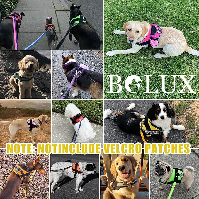 Bolux Dog Harness, No-Pull Reflective Dog Vest, Breathable Adjustable Pet Harness with Handle for Outdoor Walking - No More Pulling, Tugging or Choking (X-Small (Pack of 1), Watercolour)
