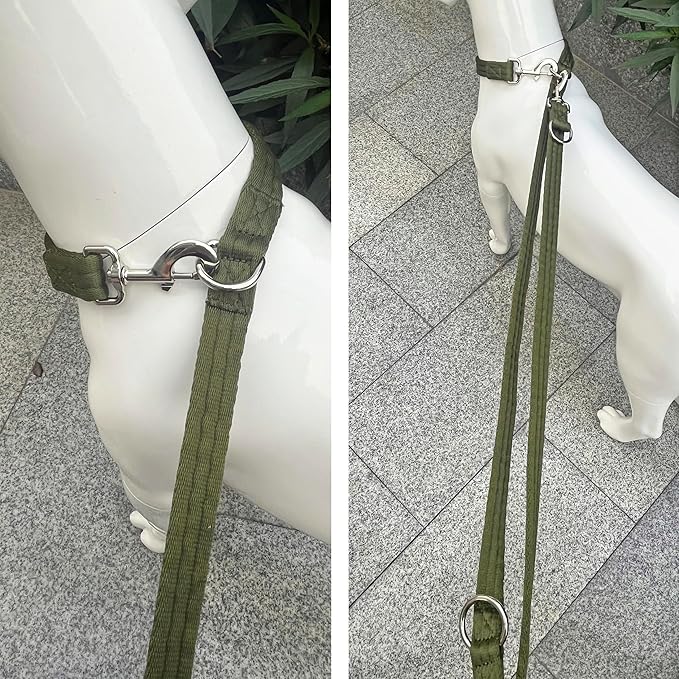 Dog Leash-Multifunctional Double Ended,for Obedience Training Or Distance Work Easy to Use,Lightweight,Soft&Durable Convertible Hands Free,Crossbody,Over Shoulder (Army Green, 2M*2.5CM)
