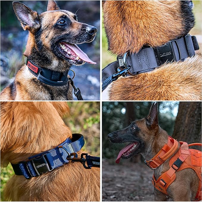 OneTigris Tough Dog Collars, Tactical Dog Collar with Handle, Milltary Adjustable Dog Collar with Heavy Duty Metal Buckle for Training (Medium(Pack of 1), Orange)