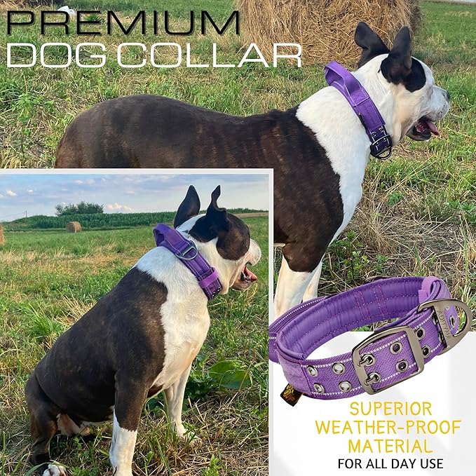ADITYNA Heavy Duty Dog Collar – Reflective Purple Tactical Collar with Handle – Fits Extra-Large Dogs (24–30" Neck) – Wide, Thick, Soft Neoprene Padded
