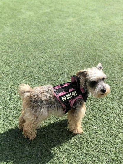 Tactical Dog Harness for Small and Medium Breeds, Air Dog Vest No Pull with Reflective Do Not Pet Patches, Breathable Dog Molle Vests for Training Walking Hunting Camo Pink