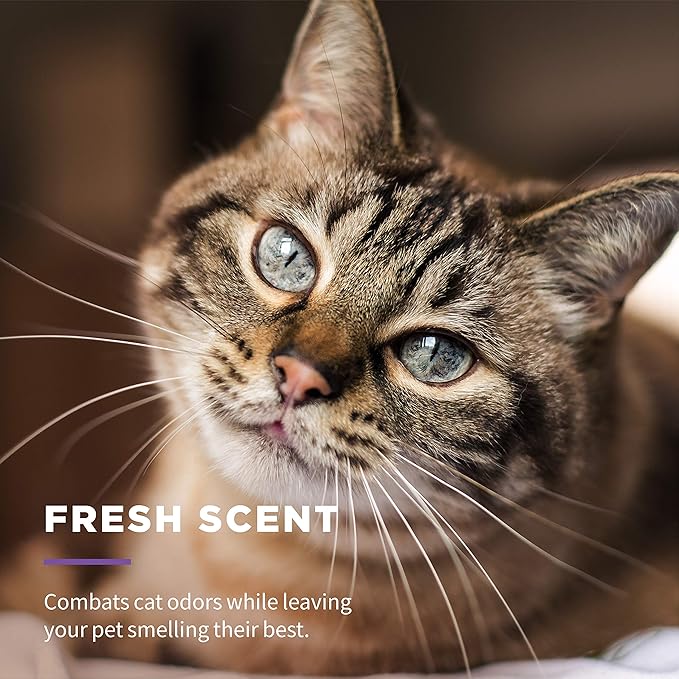 Wet Ones for Pets Freshening Multipurpose Wipes for Cats with Aloe Vera, Fresh Scent - Easy to Use Cat Cleaning Wipes for Pet Grooming in Canister, 50 Count - 12 Pack