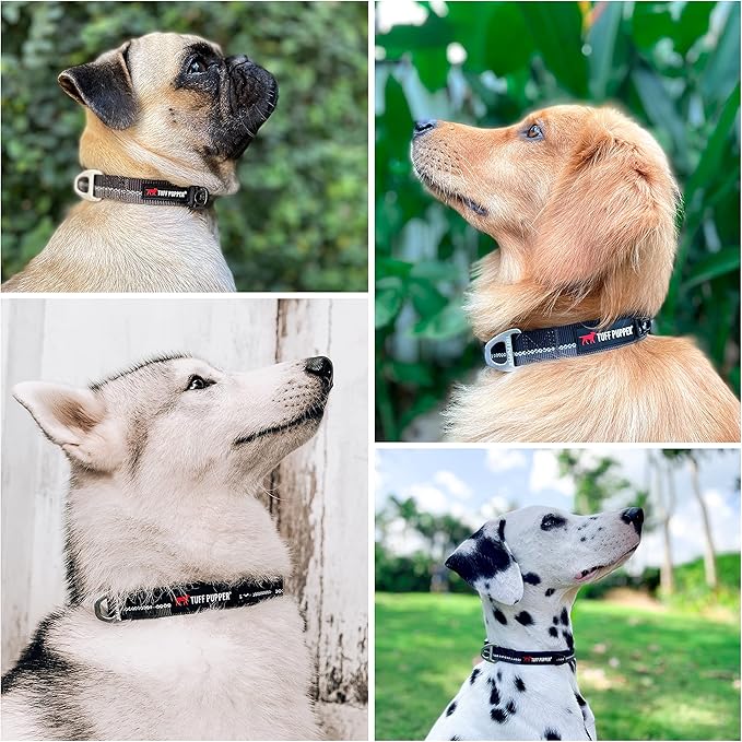 Tuff Pupper Heavy Duty Dog Collar | Tough Dogs Collar | Reflective Collars with Aluminum D-Ring Leash Clip | Separate ID Tag Attachment Keeps Engraved Dog Tags Quiet | Easy Sizing for All Breeds
