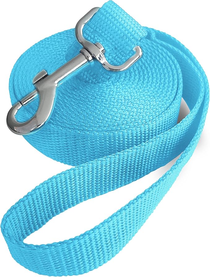 10ft Mint Blue Dog Leashes Long Line Training Leash,for Large,Medium and Small Dogs,Long Puppy Lead,for Training,Backyard,Camping,or Play,Great for Parks and Fetch (10FT, Mint Blue)