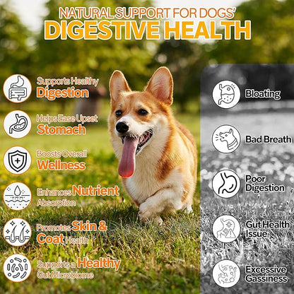 Probiotics for Dogs - 6 Digestive Probiotics & 6 Enzymes for Itchy Skin,Digestion & Gut Support,Helps Diarrhea, Yeast Infection, Upset Stomach,Allergies & Immune System Support-150 Chews