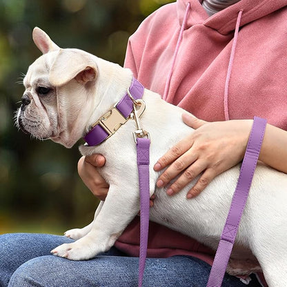 PET ARTIST Soft PU Leather Dog Collar and Leash Set, Bright & Stylish 5FT PU Leather Leash and Collar Set, Durable Pet Collars with Quick Release Metal Buckle for Medium Dogs,Purple,M(13-19")