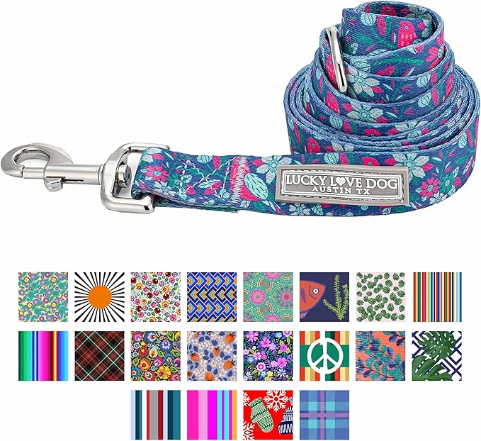 Lucky Love Dog Leash – Soft, Durable, and Comfortable Leash with Vibrant Patterns – Stylish and Long Lasting for Small Male and Female Dogs – Carriebelle, Small