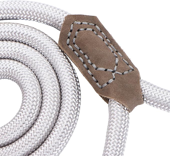 Mile High Life | Premium Leather Dog Leash | Strong Rope Leash | Leather Handle | Zinc Alloy Strong Clasp | Small Medium Large Dogs | 4/5/6 Feet(Sliver, 48 Inch (Pack of 1))