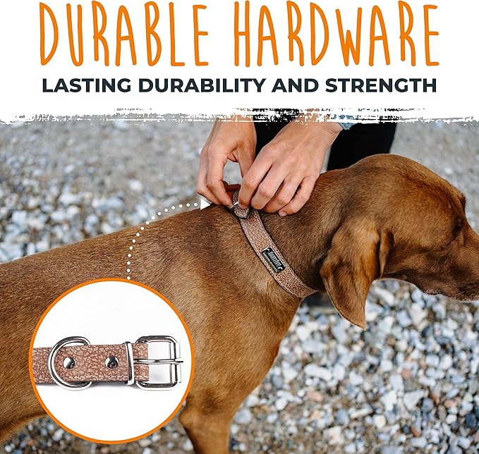 Mighty Paw Leather Dog Collar - Genuine Distressed Leather - Strong Metal Buckle - Ultimate Comfort - Modern Style for All Dogs Breeds - Comfort Puppy Collar - (XLarge - Lite Brown)