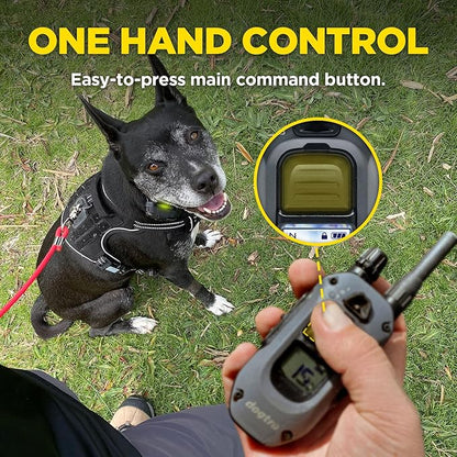 Dogtra 280X 2-Dogs E-Collar with Remote [New Edition] 10 lbs+, 1/2 Mile Range, LED Light, 100 Levels of Control for Stubborn Dogs, Waterproof, Boost for Quick Recall, Vibration, Safety Lock & Tone
