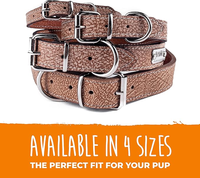 Mighty Paw Leather Dog Collar - Genuine Distressed Leather - Strong Metal Buckle - Ultimate Comfort - Modern Style for All Dogs Breeds - Comfort Puppy Collar - (Large - Lite Brown)