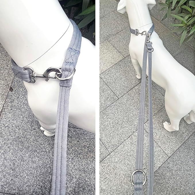 Dog Leash-Multifunctional Double Ended,for Obedience Training Or Distance Work Easy to Use,Lightweight,Soft&Durable Convertible Hands Free,Crossbody,Over Shoulder (Grey, 2M*2.5CM)