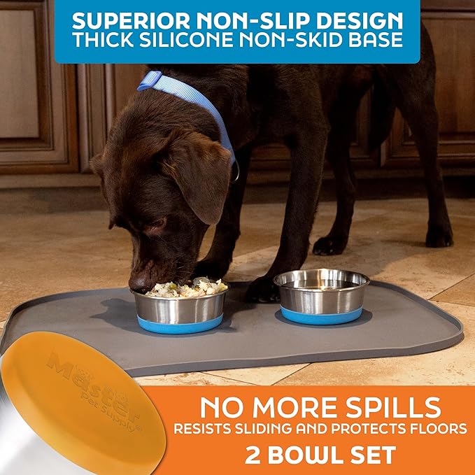 Master Pet Supply Stainless Steel Dog Bowls Set of 2 with Extra Thick Silicone Base - 2 Cup (16 oz) Mango Tango, Non-Slip, Dishwasher Safe Metal Bowls, Pet Dog Food Bowl for Dogs, Cats, Anti Rust