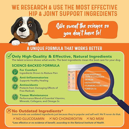 Bernie's Healthy Hips - Daily Dog Hip & Joint Supplement - 90 Soft Chews - Reduce Pain, Encourage Mobility, Slow Damage, Repair and Rebuild Hips & Joint Tissues