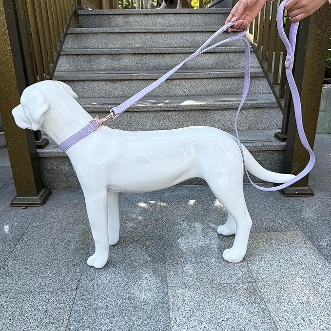 Dog Leash 6ft Long,Traffic Padded Two Handle,Heavy Duty,Double Handles Lead for Control Safety Training,Leashes for Large Dogs or Medium Dogs,Dual Handles Leads (Purple, 25MM*6FT)