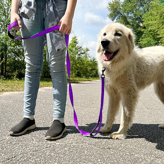 Joytale Dog Leash Heavy Duty for Large Dogs That Pull, Double Handle for Traffic Control, Double-Sided Reflective Leashes for Large Medium Dogs Night Safety, 4FT, Purple