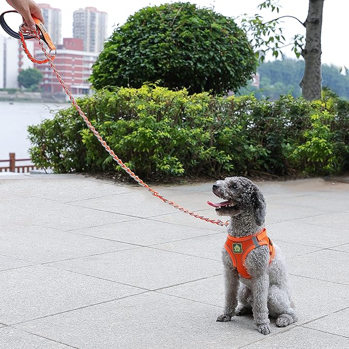 Chew Proof Metal Leash for Medium Large Dogs, 5.2FT Strong Anti Chew Chain Link Leash With Comfortable Soft Padded Handle - Red