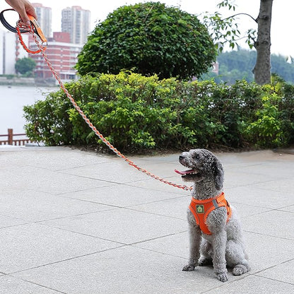 Chew Proof Metal Leash for Medium Large Dogs, 5.2FT Strong Anti Chew Chain Link Leash With Comfortable Soft Padded Handle - Red