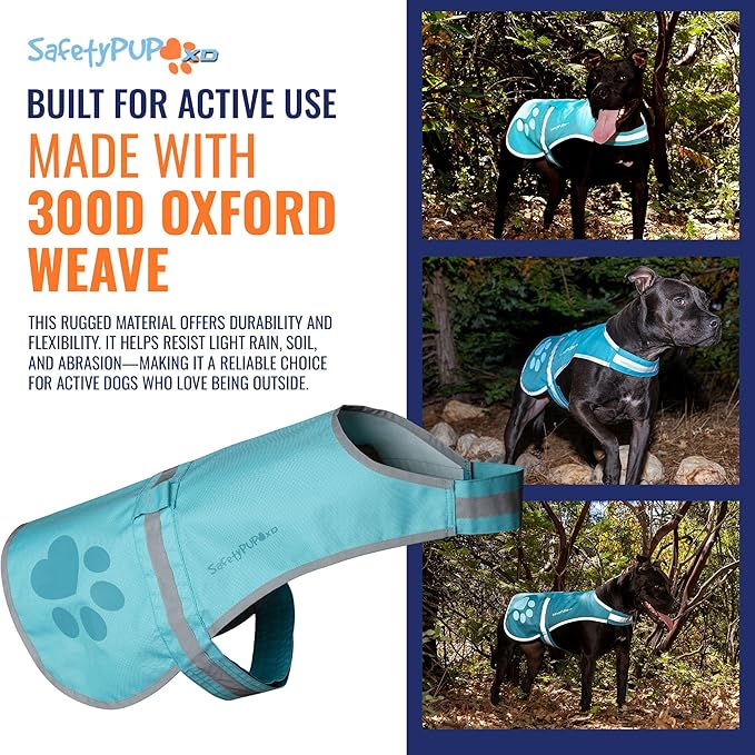 SafetyPUP XD Dog Reflective Vest – Hi-Vis Fluorescent Visibility That Helps to Safeguard Your Pet On/Off Leash in Urban & Rural Areas (Teal, Medium)