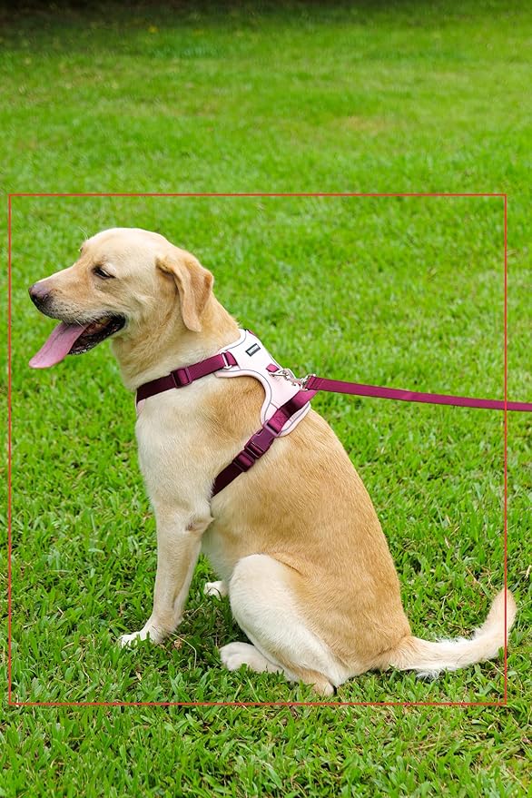 No Pull Dog Harness Leash and Collar Set, Soft Adjustable Dogs Vest Reflective and Comfortable Handle Pink X-Large