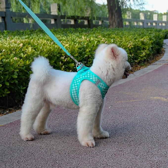 AIITLE Breathable Mesh Dog Vest Harness, No Pull Escape Proof Vest Harnesses with Reflective Bands, Adjustable Plaid Pet Outdoor Harnesses for Small and Medium Dogs Turquoise M