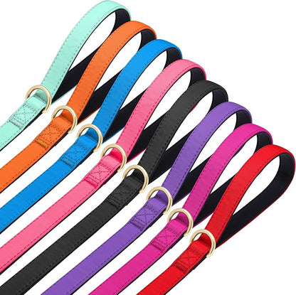 Didog 5FT Colorful Nylon Dog Leash with Soft Full-Length Padding, Lightweight and Durable Pet Leash for Medium and Large Dogs, Purple, M