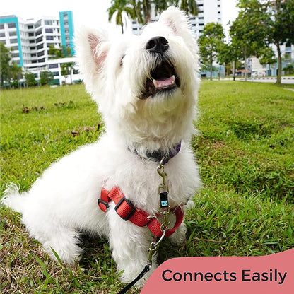Gentle Creatures Collar Companion - Mini - Small Dogs Collar Backup Clip for Dog Harness, Prong, Pinch Collars, Gentle Lead - Double Ended Backup Clasp - Harness to Collar Safety Clip