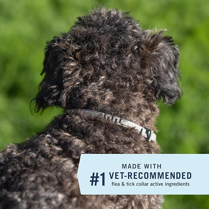 PetArmor Extend Flea & Tick Treatment & Prevention Collar for Small Dogs up to 18 lbs., 8 Months of Protection, Odorless & Non-Greasy, Waterproof, Kills Fleas, Ticks, and Flea Larvae, 2 Count