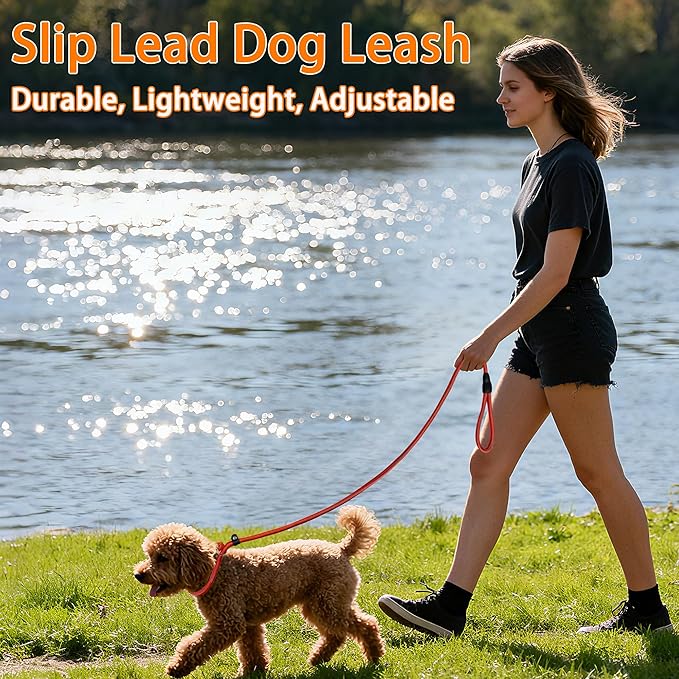 FOVRLZSE Upgraded Dog Slip Lead (3-Pack) – Adjustable Nylon Lead (Red/Black/Blue) for Training Aid, Eco-Friendly Cotton Lining, Integrated Plastic Buckle