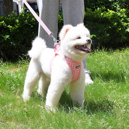 AIITLE Small Dog Harness and Leash Set, Step in No Pull Pet Harness, Soft Mesh Reflective Plaid Vest Harnesses for Small Dogs Puppy and House Cats Outdoor Walking Running Watermelon XS