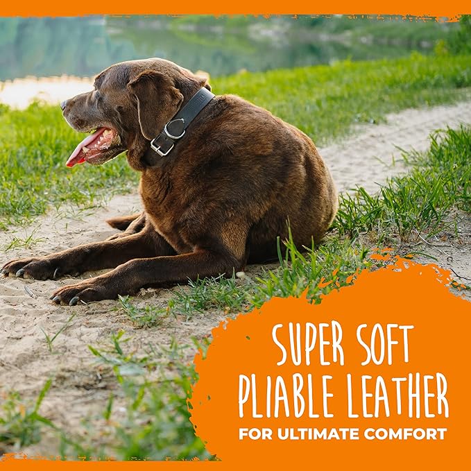 Mighty Paw Leather Dog Collar - Genuine Distressed Leather - Strong Metal Buckle - Ultimate Comfort - Modern Style for All Dogs Breeds - Comfort Puppy Collar - (Large - Brown)