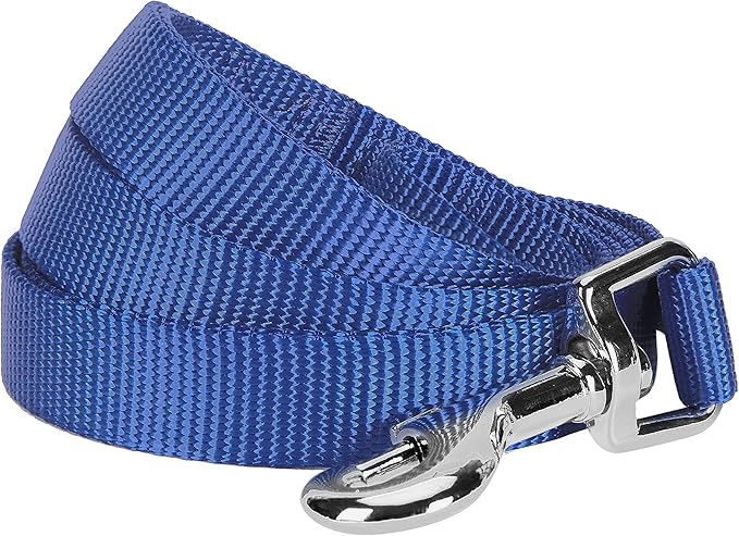 Blueberry Pet Essentials Marina Blue Dog Leash for X-Small -5' * 3/8" Dogs | Heavy Duty Nylon Lead | Lightweight Puppy & Cat Leash for Walking & Training
