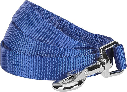 Blueberry Pet Essentials Marina Blue Dog Leash for X-Small -5' * 3/8" Dogs | Heavy Duty Nylon Lead | Lightweight Puppy & Cat Leash for Walking & Training
