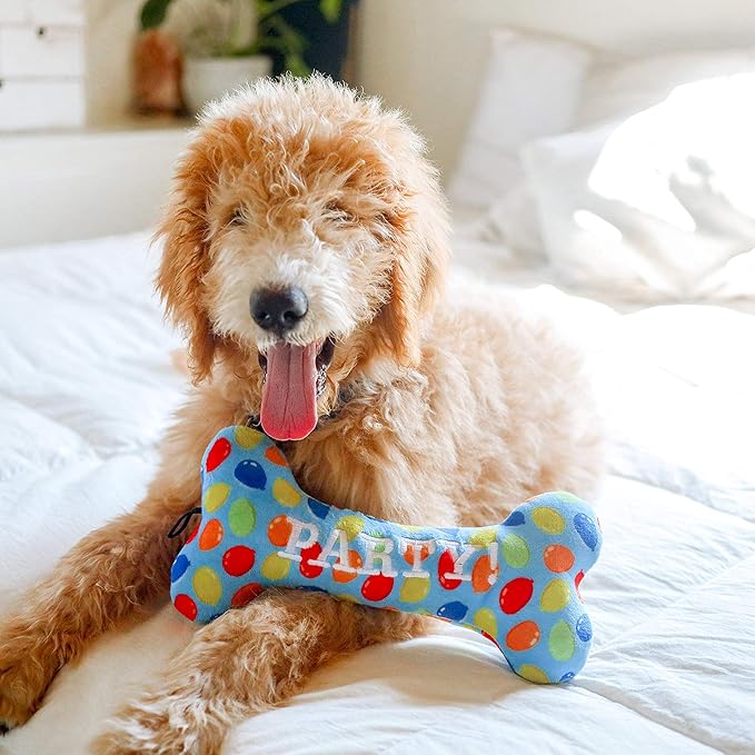 Huxley & Kent Funny Dog Toy w/Squeaker – Birthday Power Plush Squeaky Dog Toys for Small, Medium & Large Dogs – Soft Stuffed Animal for Indoor Play & Fetch - Party Time Blue Bone, Large