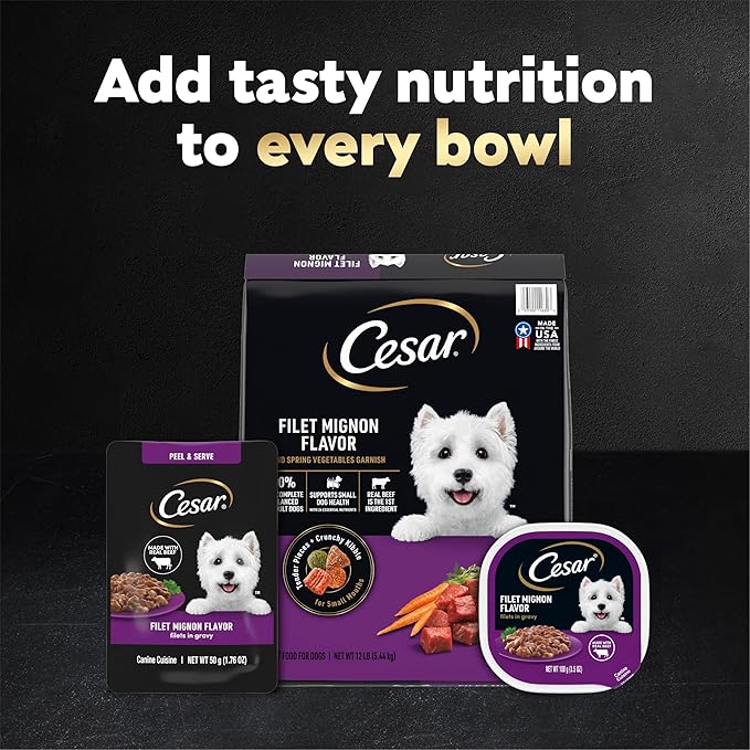 Cesar Filets in Gravy Wet Dog Food, Filet Mignon Flavor, Wet Food for Dogs, 1.76 oz. Mini-Pouches, 20 Count