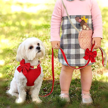 Didog Cute Small Dog Harness Collar and Leash Set with Bowtie, Breathable Soft Mesh Padded Puppy Harness, Christmas Dog Harness for for Parties, Holiday Gatherings & Gifts, Red, M