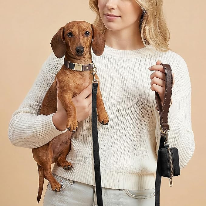 Didog Soft PU Leather Dog Collars for Small Dogs,Classic Adjustable Dog Collars with Quick Release Metal Buckle,Easy Clean and Comfortable with Nylon Lining,Black,S Neck 11-15"