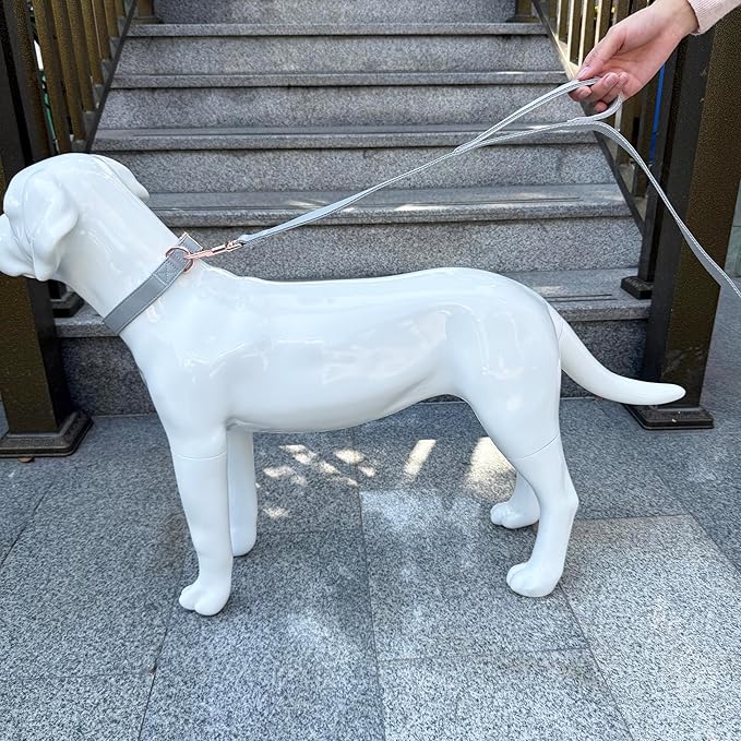Dog Leash 6ft Long,Traffic Padded Two Handle,Heavy Duty,Double Handles Lead for Control Safety Training,Leashes for Large Dogs or Medium Dogs,Dual Handles Leads (Grey, 25MM*6FT)