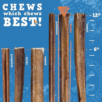 Jack&Pup 12 Inch Bully Sticks for Dogs (10 Pack) Extra Thick Dog Chews Long Lasting, Odor Free, Single Ingredient, 100% Beef Bully Sticks for Large Dogs