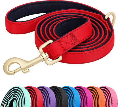 Didog 5FT Colorful Nylon Dog Leash with Soft Full-Length Padding, Lightweight and Durable Pet Leash for Medium and Large Dogs, Red, M