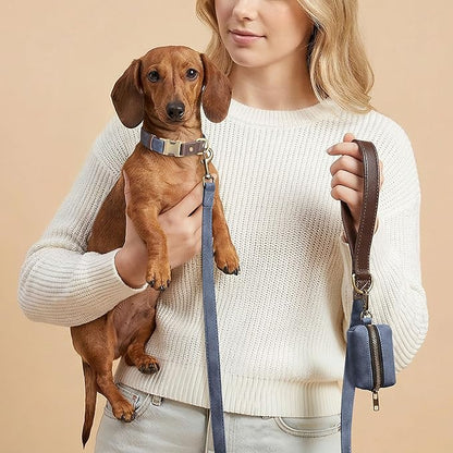 Didog Soft PU Leather Dog Collars for Small Dogs,Classic Adjustable Dog Collars with Quick Release Metal Buckle,Easy Clean and Comfortable with Nylon Lining,Blue,S Neck 11-15"