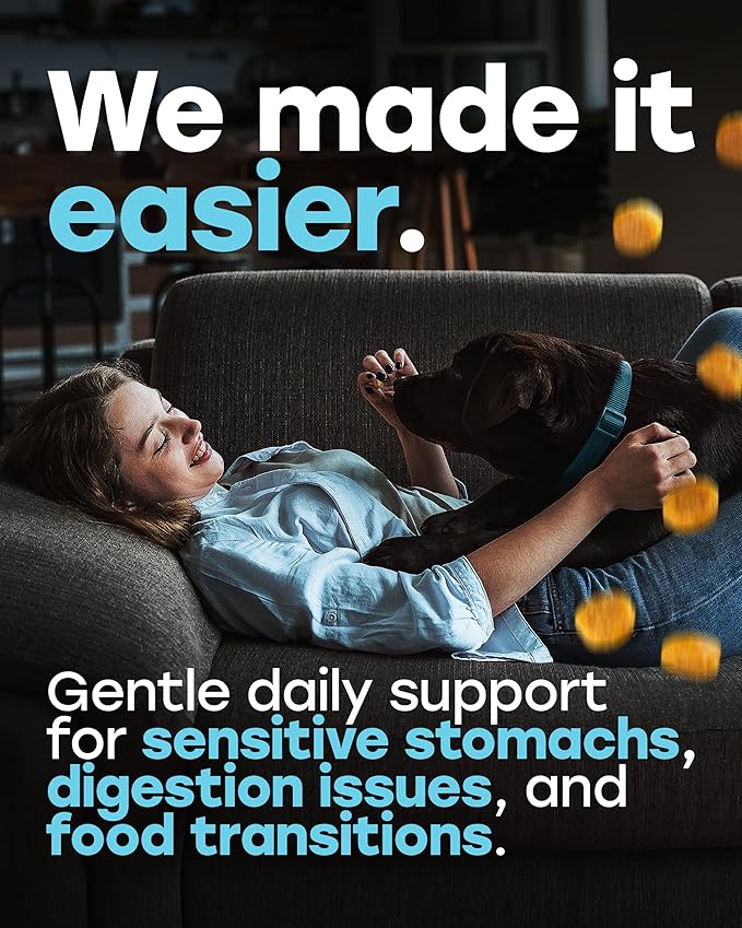 Chewable Dog Probiotics – All-in-One PhD-Endorsed Digestive Enzymes, Prebiotics, Turmeric, Omega-3 & Fiber – Gut, Diarrhea, Itchy Skin & Ear Support – All Ages, Made in USA, 140 Beef Chews